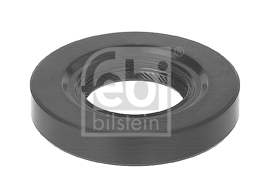 Shaft Seal, manual transmission flange